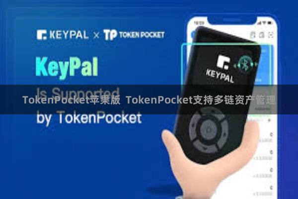 TokenPocket苹果版  TokenPocket支持多链资产管理